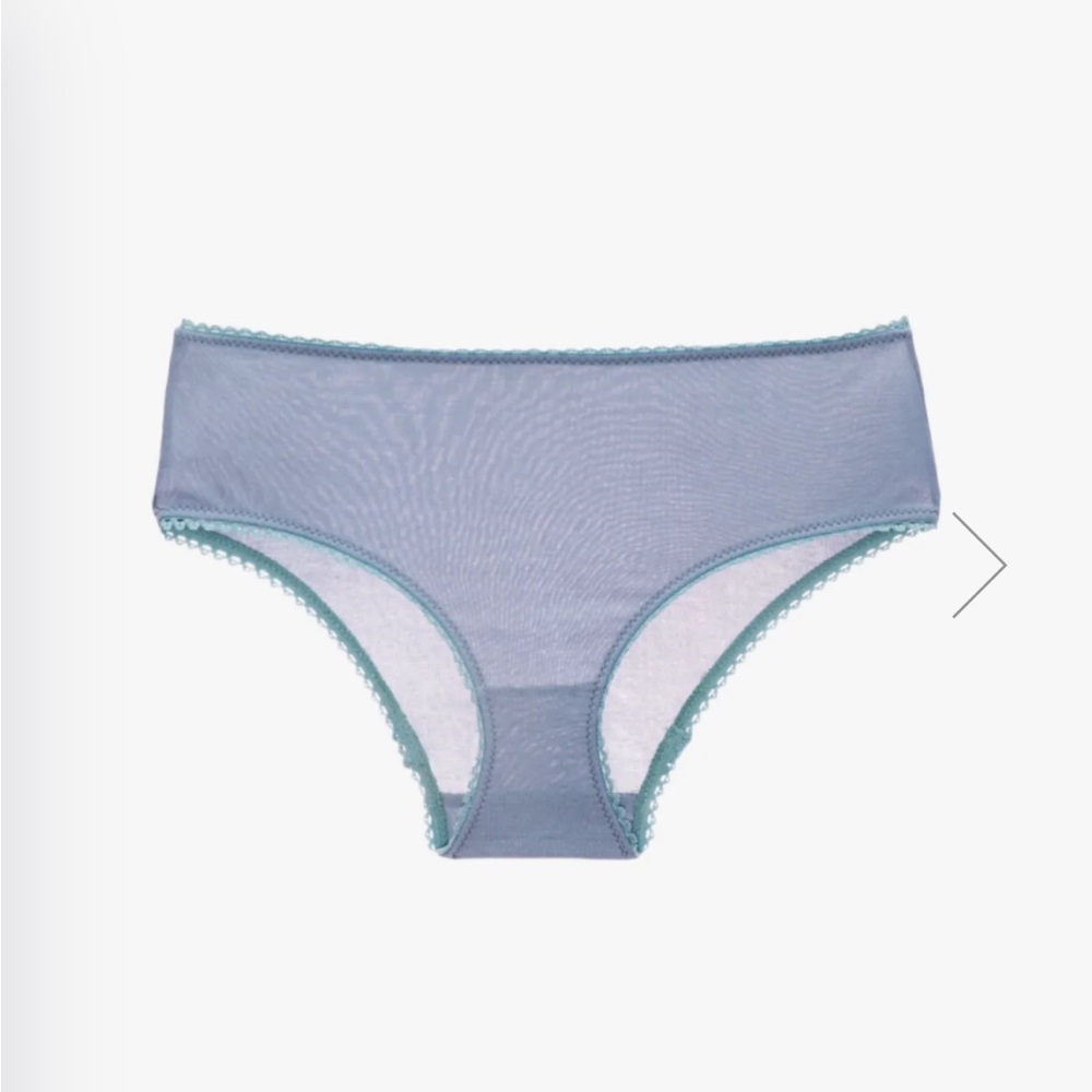 ARAKS josephine hipster in feather Panties size small brand new never worn